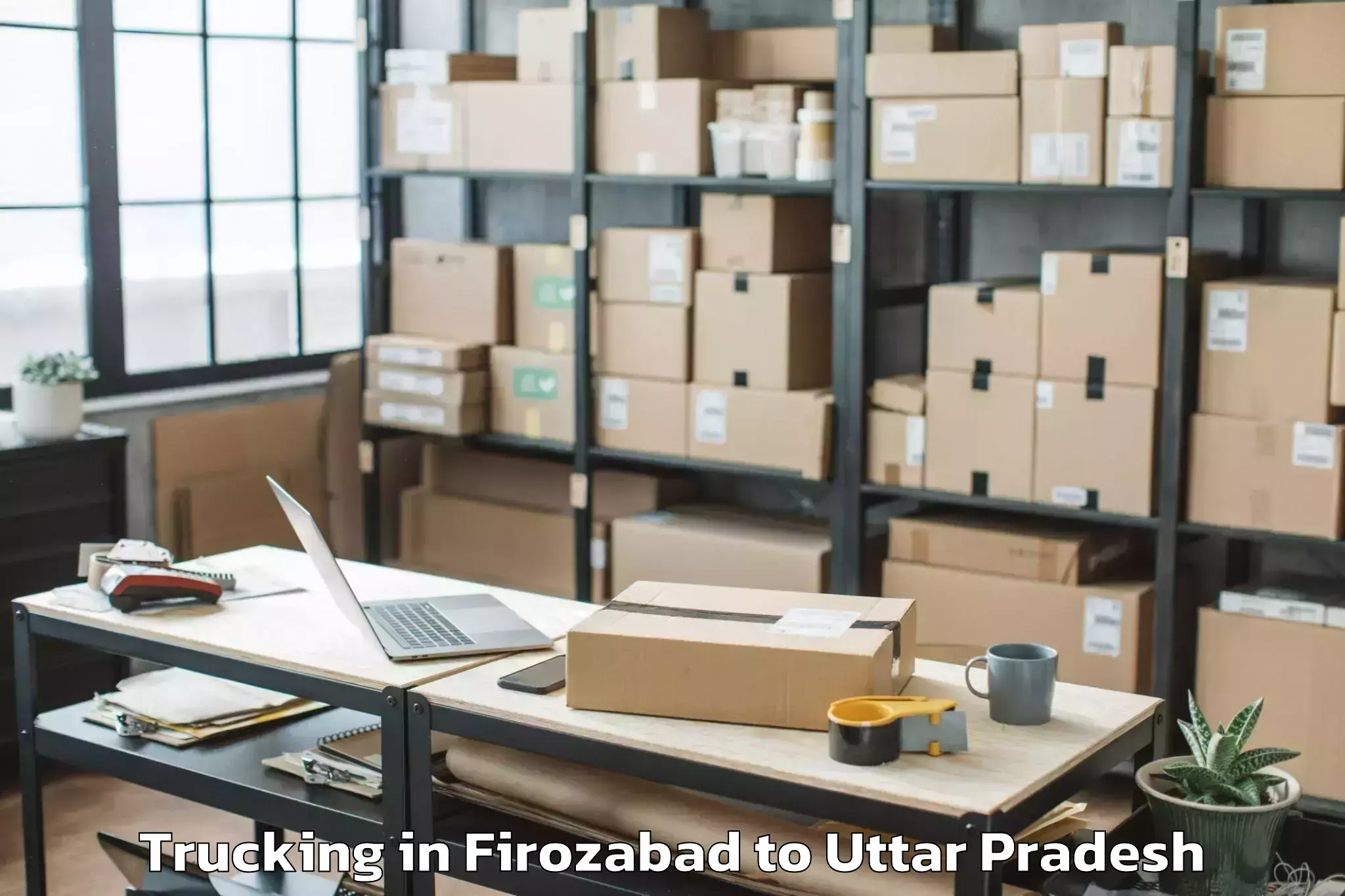 Top Firozabad to Pinahat Trucking Available